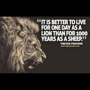 Meet your Posher, Dj